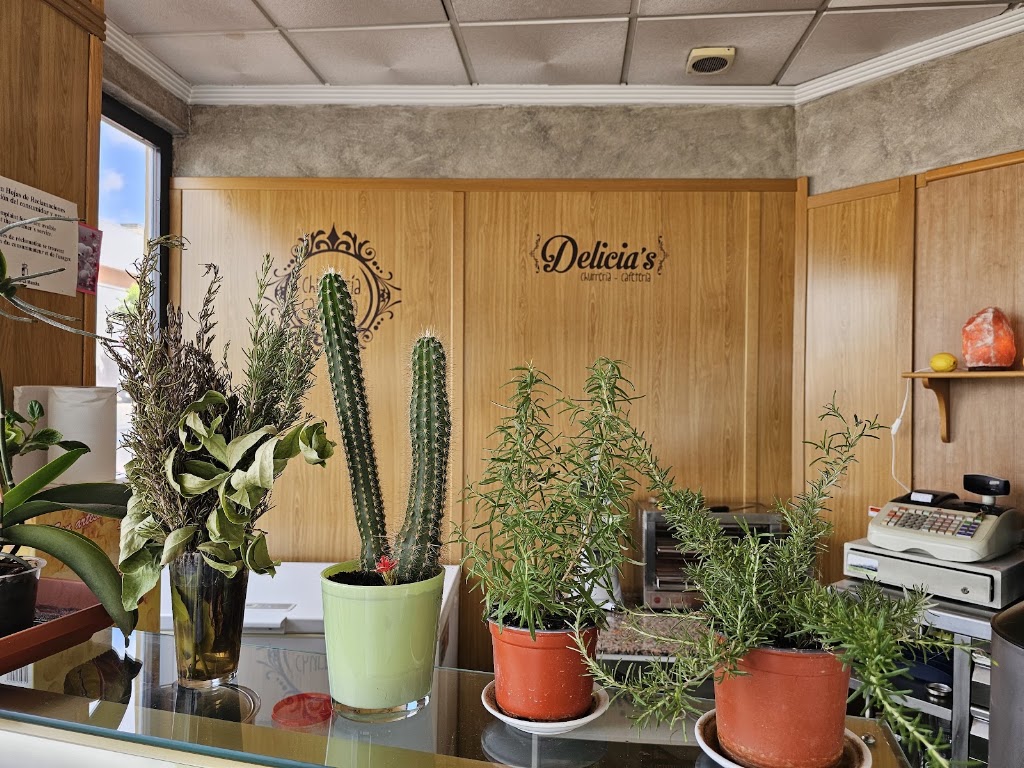 CHURRERIA CAFETERIA DELICIA'S — Del propietario