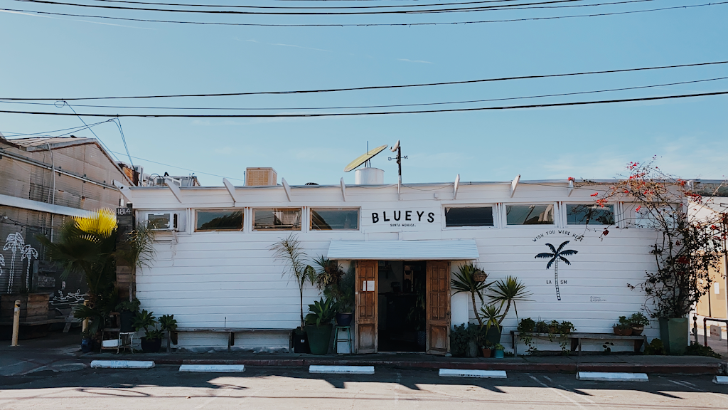 Photo of Blueys Santa Monica