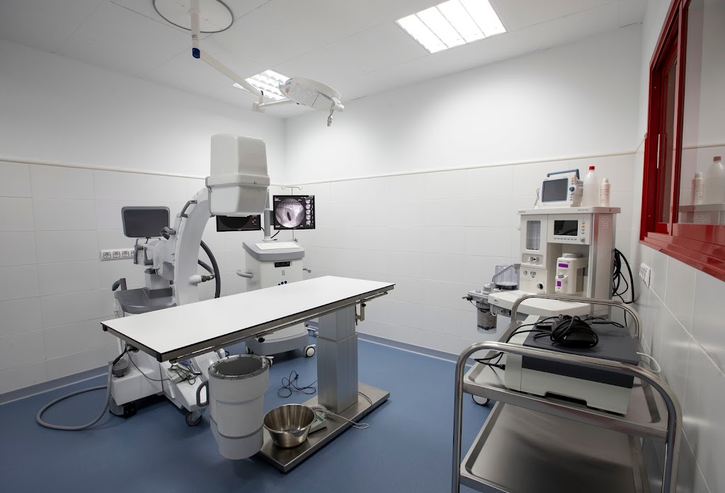 Neurologia y Neurocirugia Veterinaria