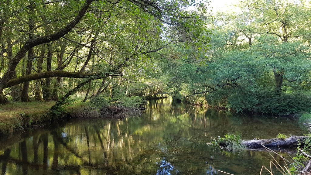 Ruta das pontes do Lerez