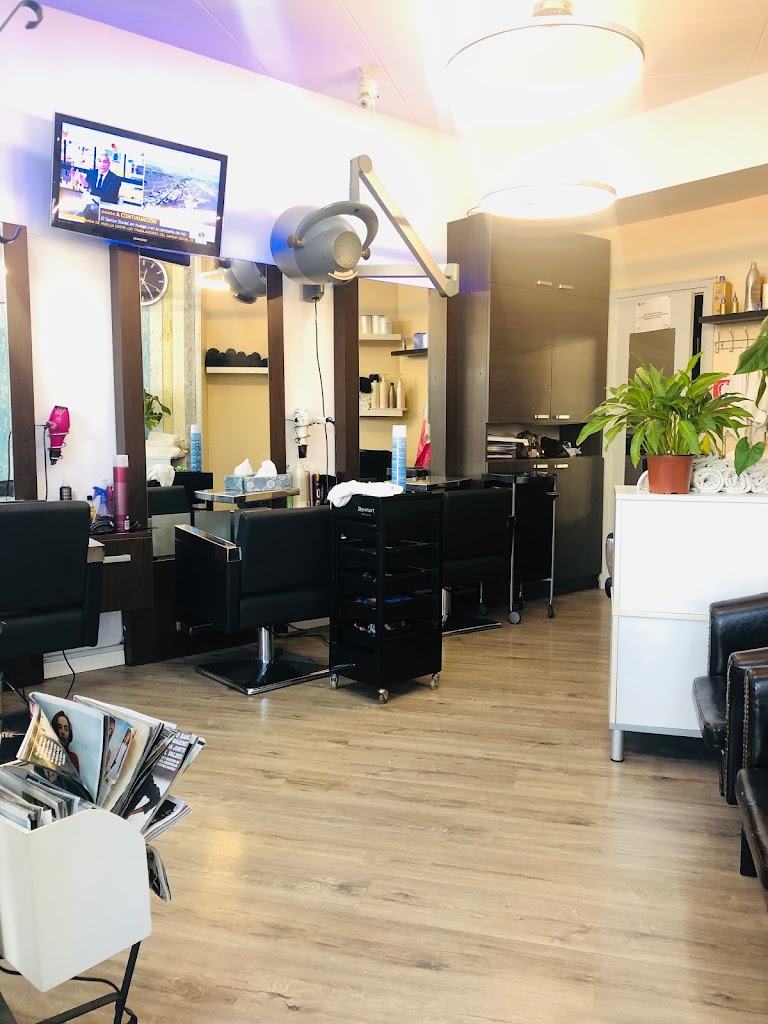 Peluqueria new Look Lloret — Interior