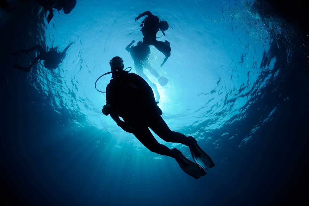 Celacanto Escuela De Buceo en Altea