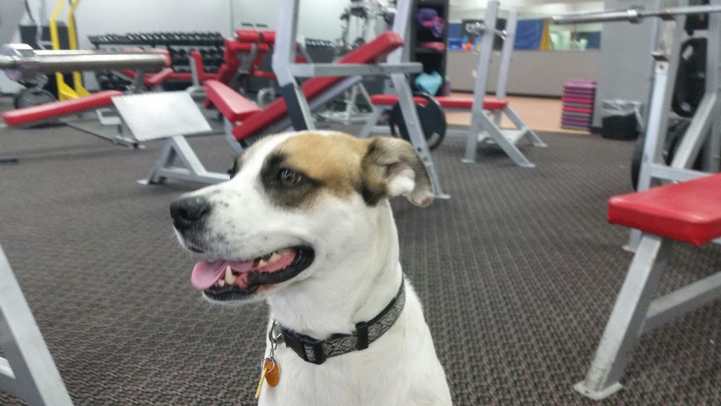  New Leaf Fitness & Nutrition