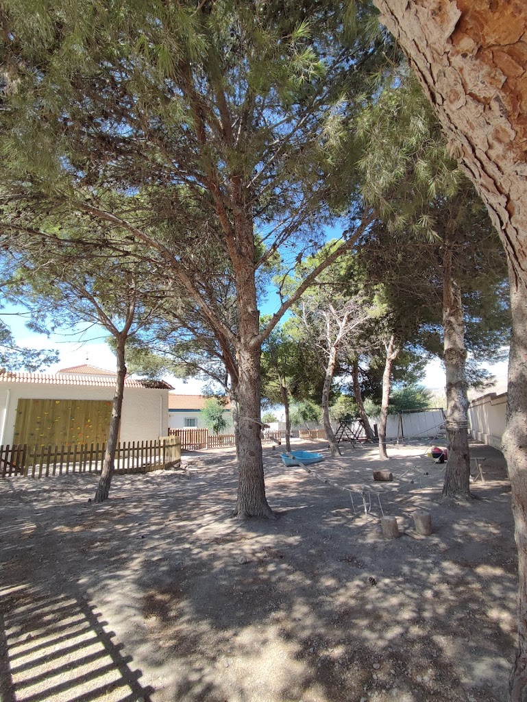 Escuela Waldorf JACARANDA - Aguadulce