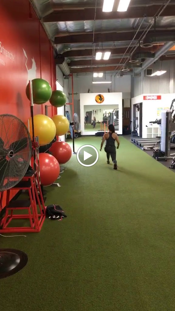  Art of Strength Fitness