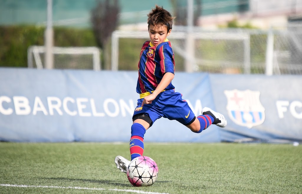 Barca Academy — Del propietario