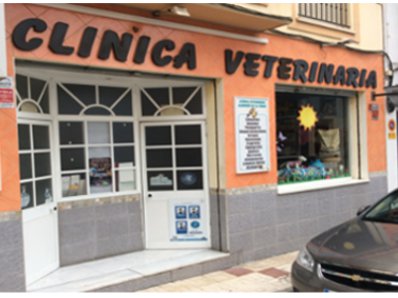 Clinica Veterinaria Alhaurin De La Torre — Del propietario