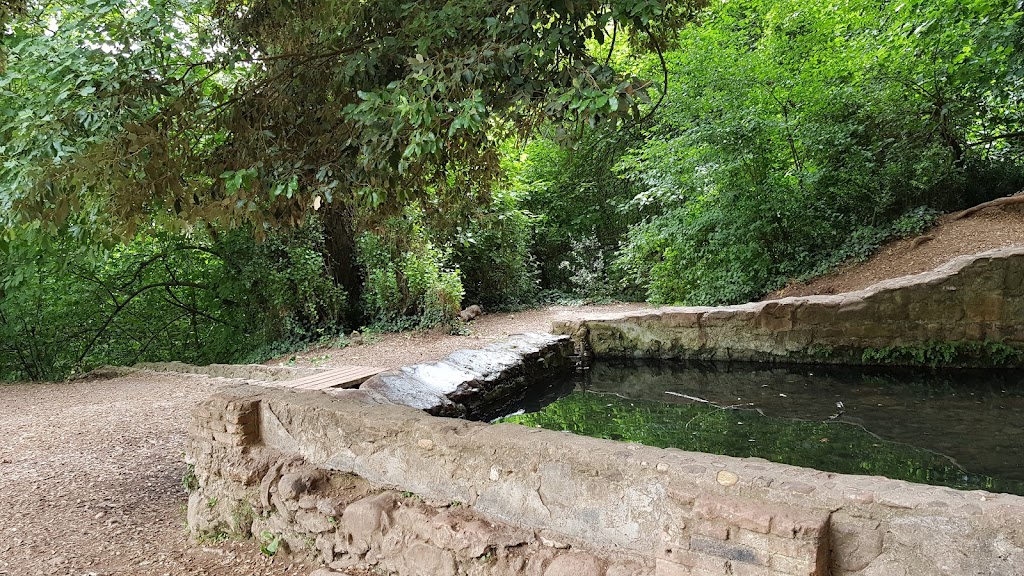 La Font de Can Moragues