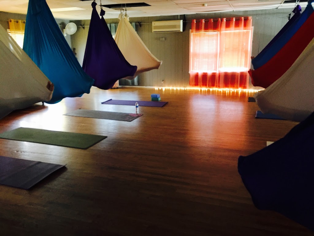  Dragonfly Aerial Studio