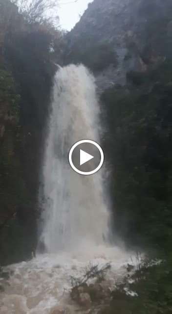 Cerveceria xorrador — Videos