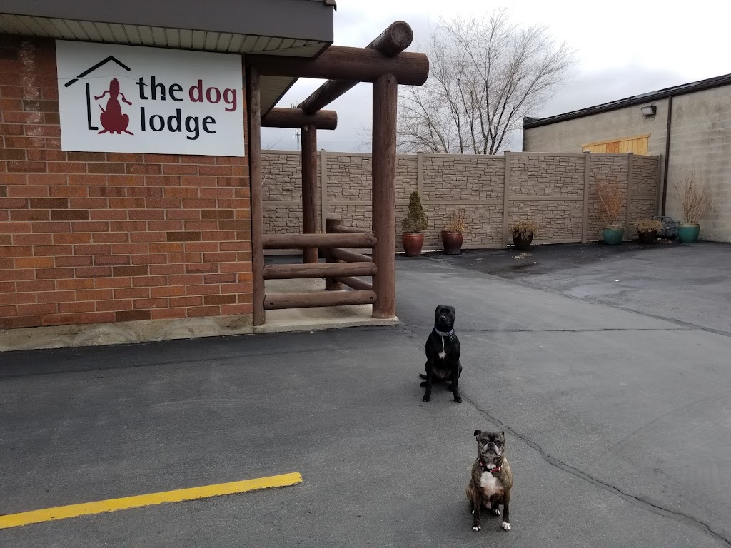 Dog day care center in Midvale