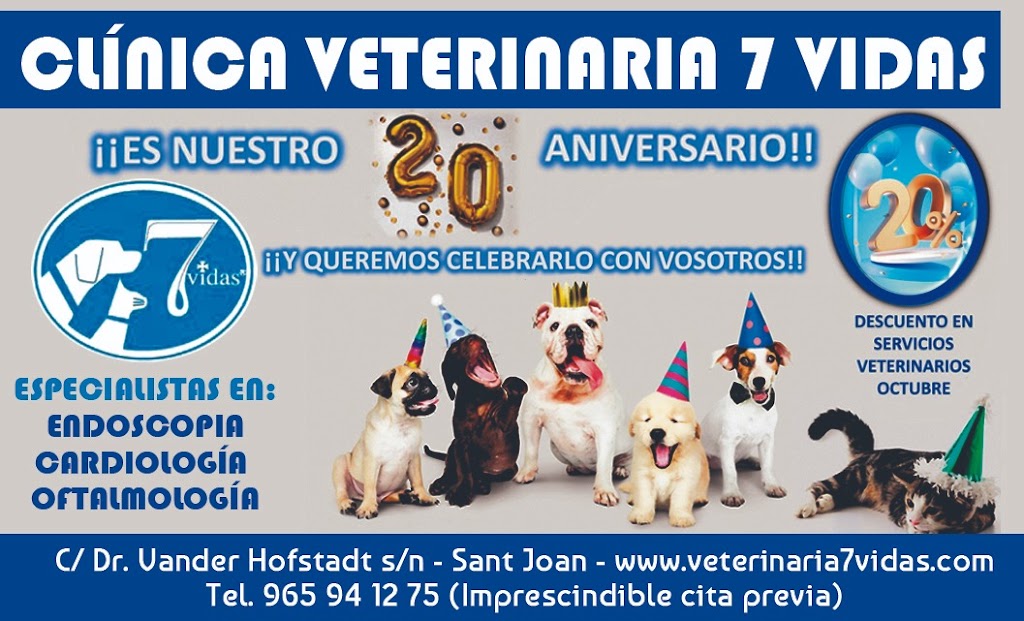 Clinica Veterinaria 7 Vidas — Del propietario