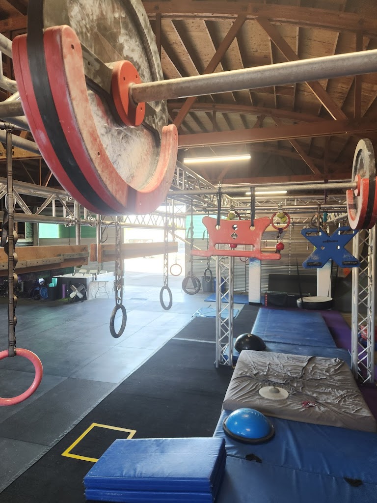  Rise Fitness - Ninja Warrior