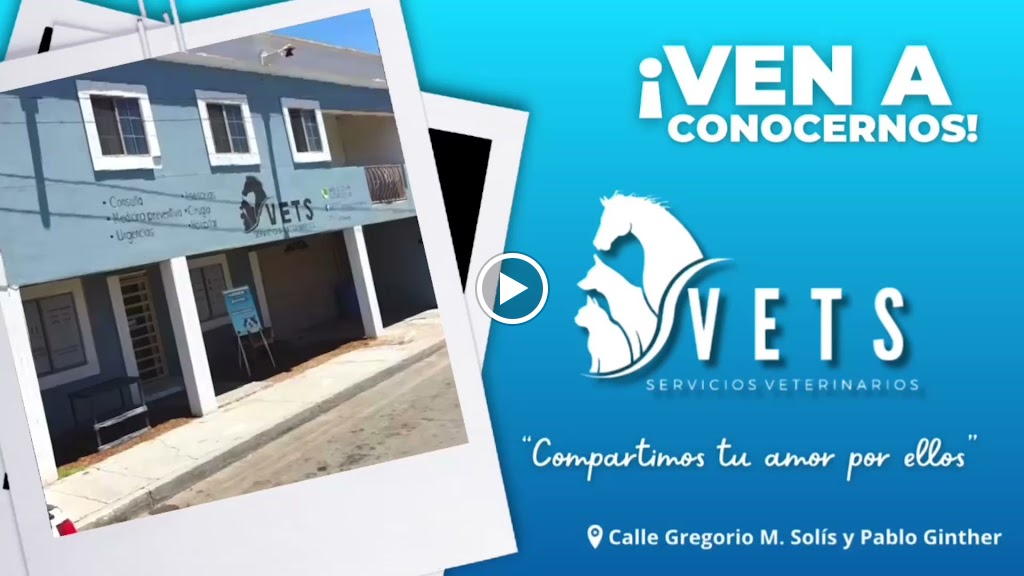 VETS Servicios Veterinarios — Videos