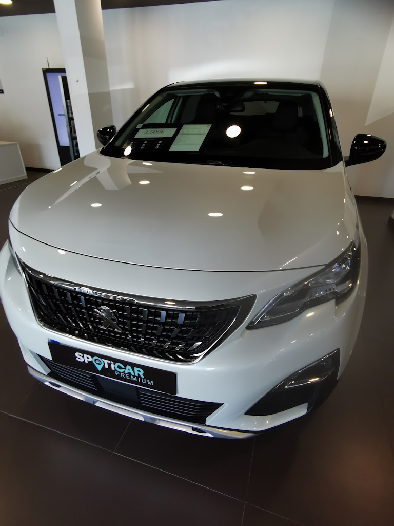 Peugeot - Caetano Motors Malaga - Antequera — Interior