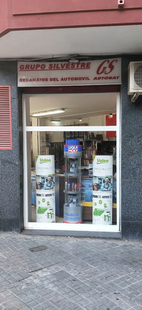 GS AUTOBAT - SILVESTRE