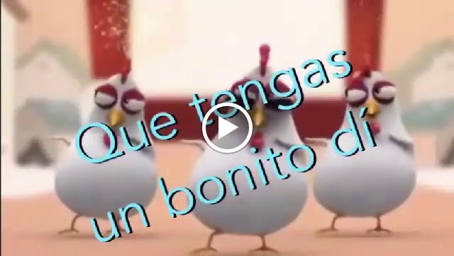 Cafe Bar Hermanos Lozano — Videos