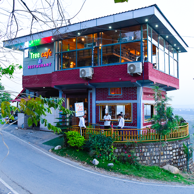 Tree Cafe Restaurant Restaurant In Dehradun