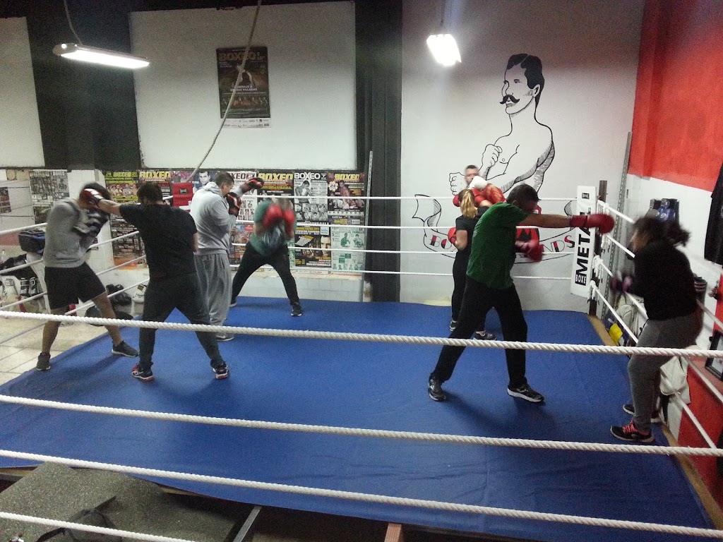 Boxing Friends — Boxeo