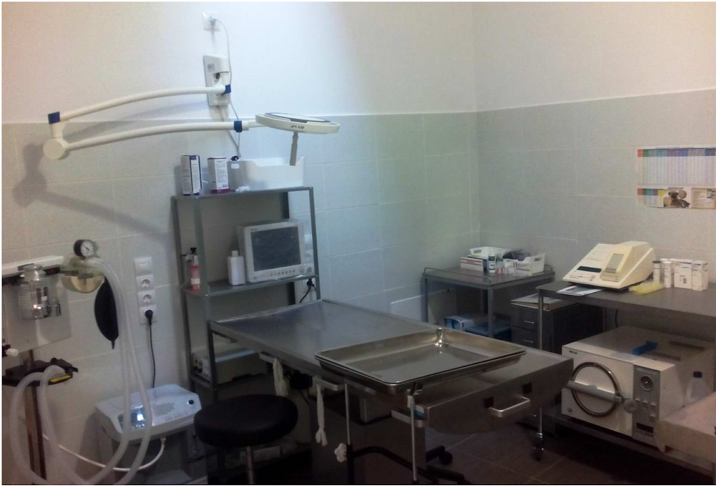 Clinica Veterinaria Bau-Bau — Del propietario