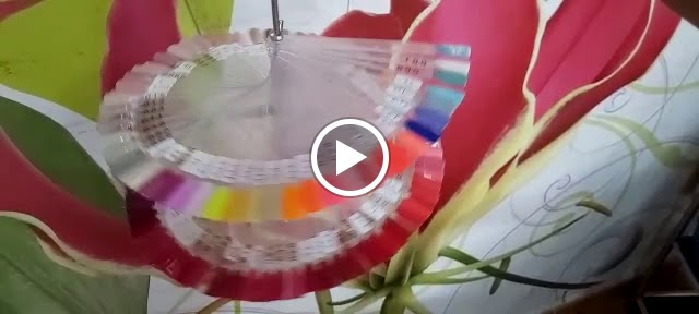 Peluqueria Carmen's Hair Salon — Videos