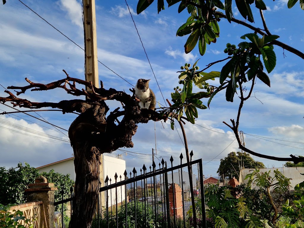 Casa Maria — Mas recientes