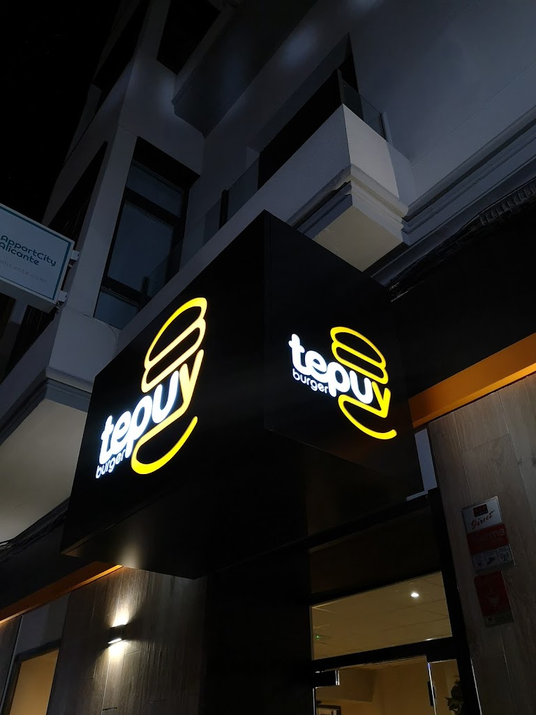 Tepuy Burger | Hamburgueseria en Alicante