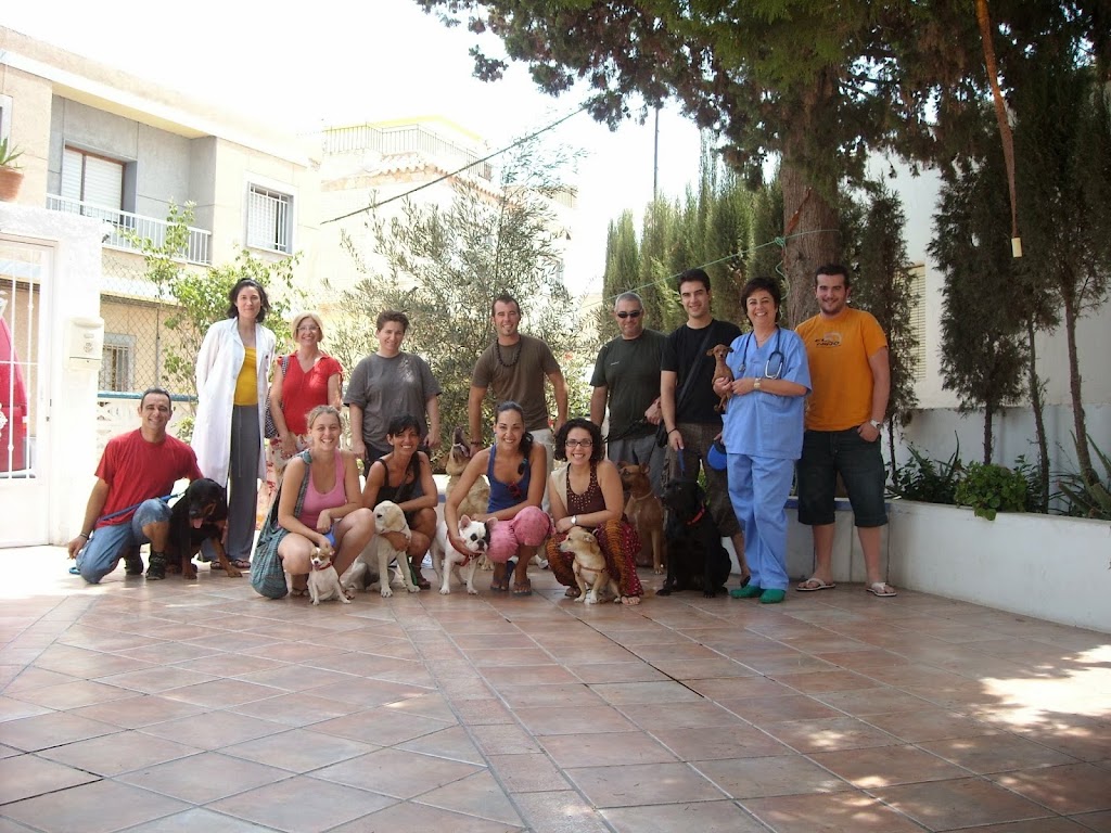 Clinica Veterinaria Agave — Del propietario