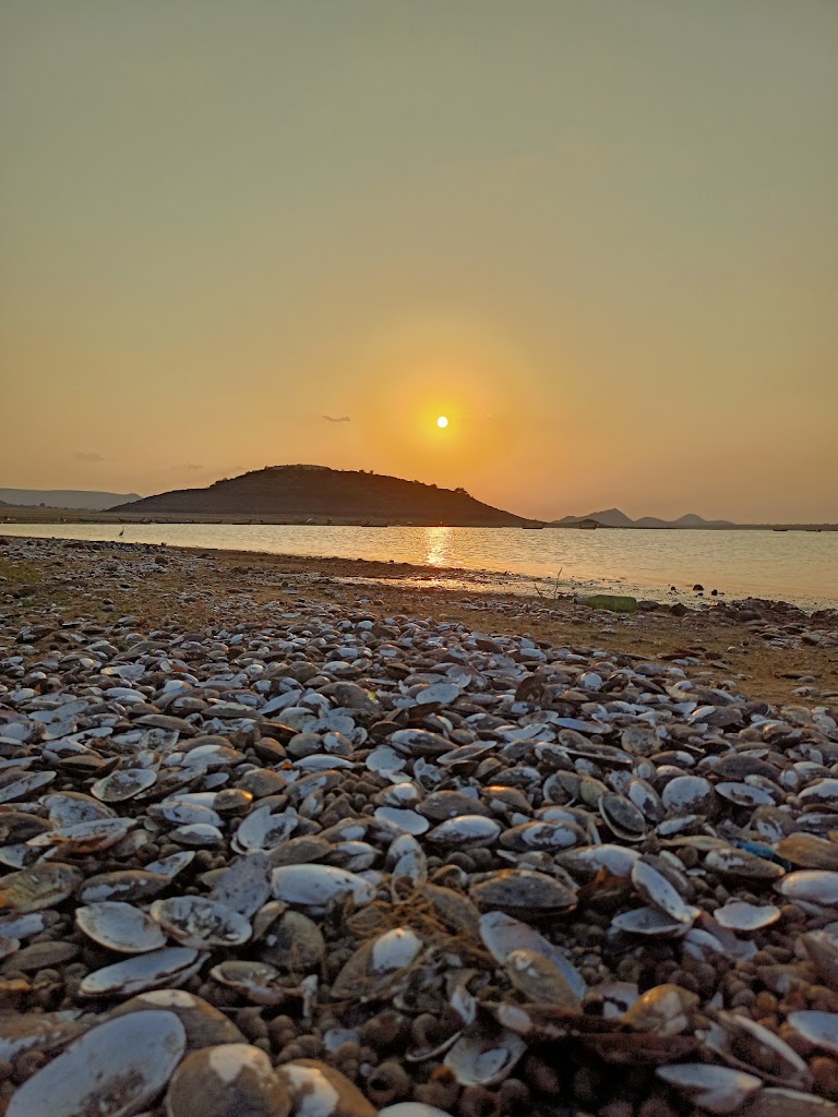 Vizag Colony Boating Center(Nagarjuna Sagar Back Waters)