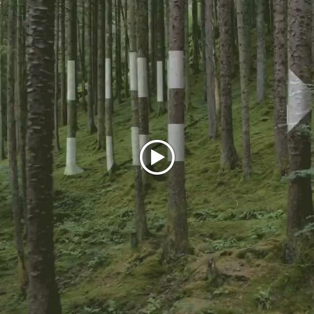 DACIA PUERTOLLANO ARIES — Videos