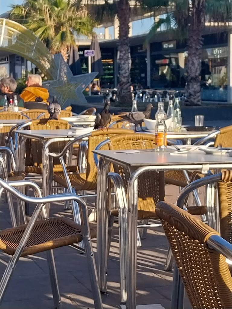 Restaurante Las Palmeras Premia