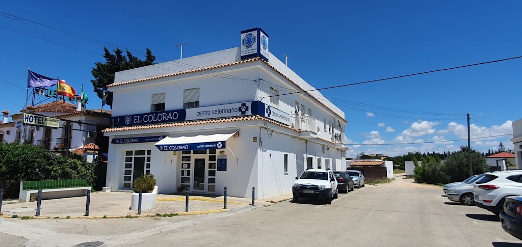 Clinica Veterinaria El Colorao