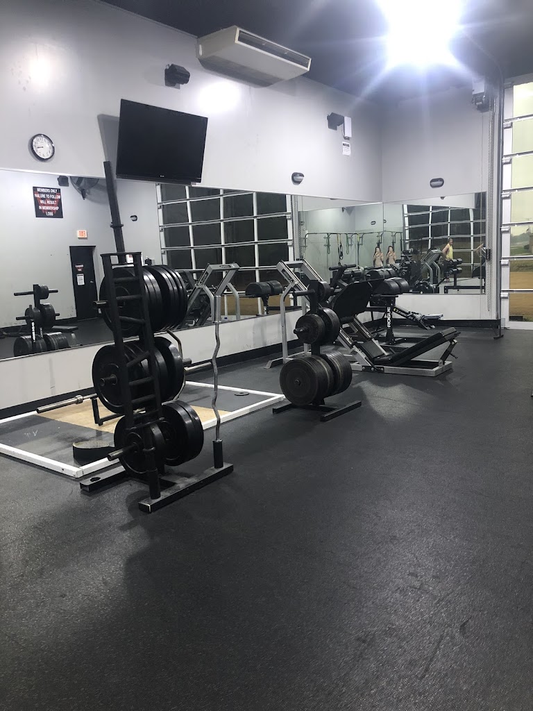  Willmore Total Fitness - Arab