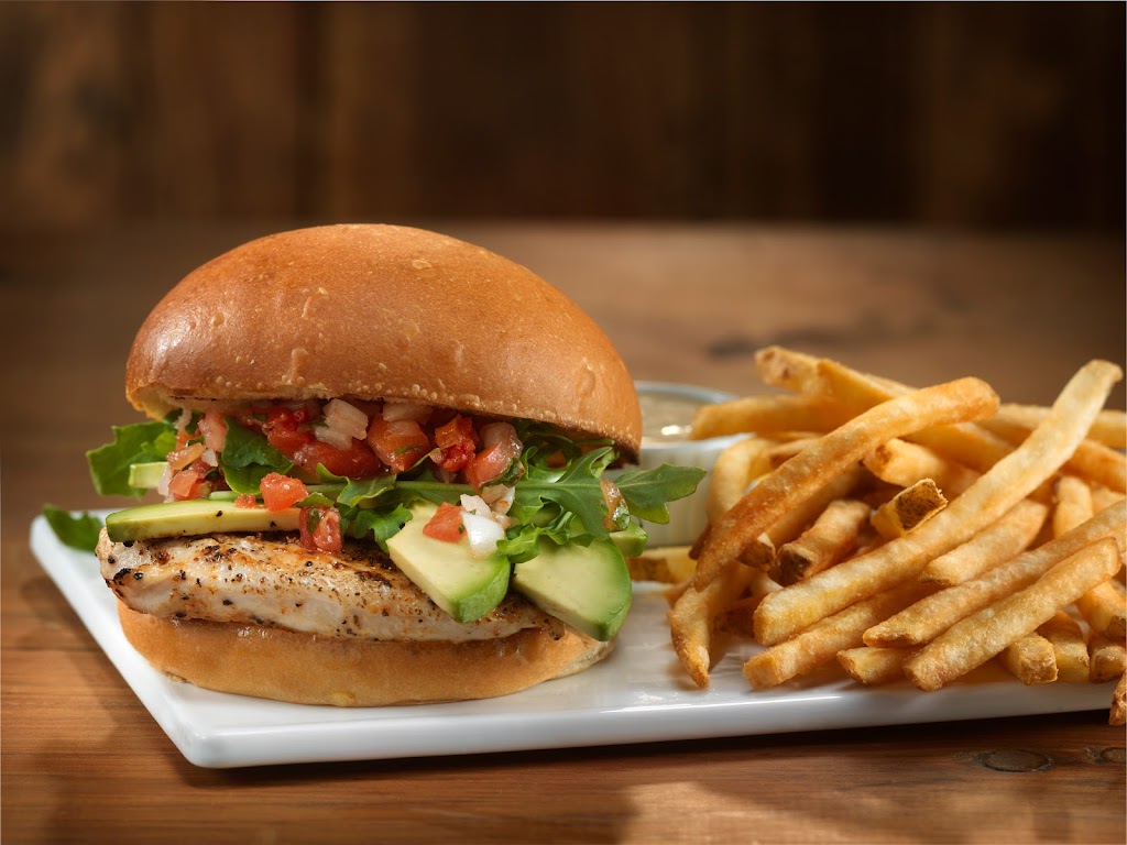 Chicken sandwich
