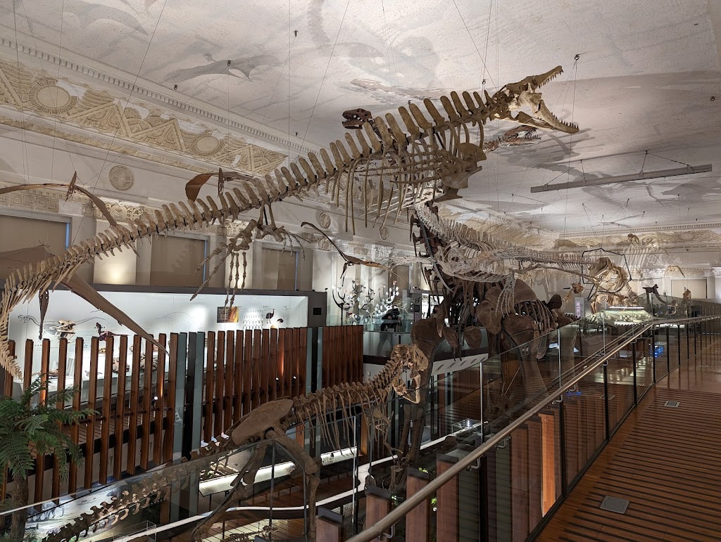 石尚恐龍主題餐廳(臺博古生物館) 的照片