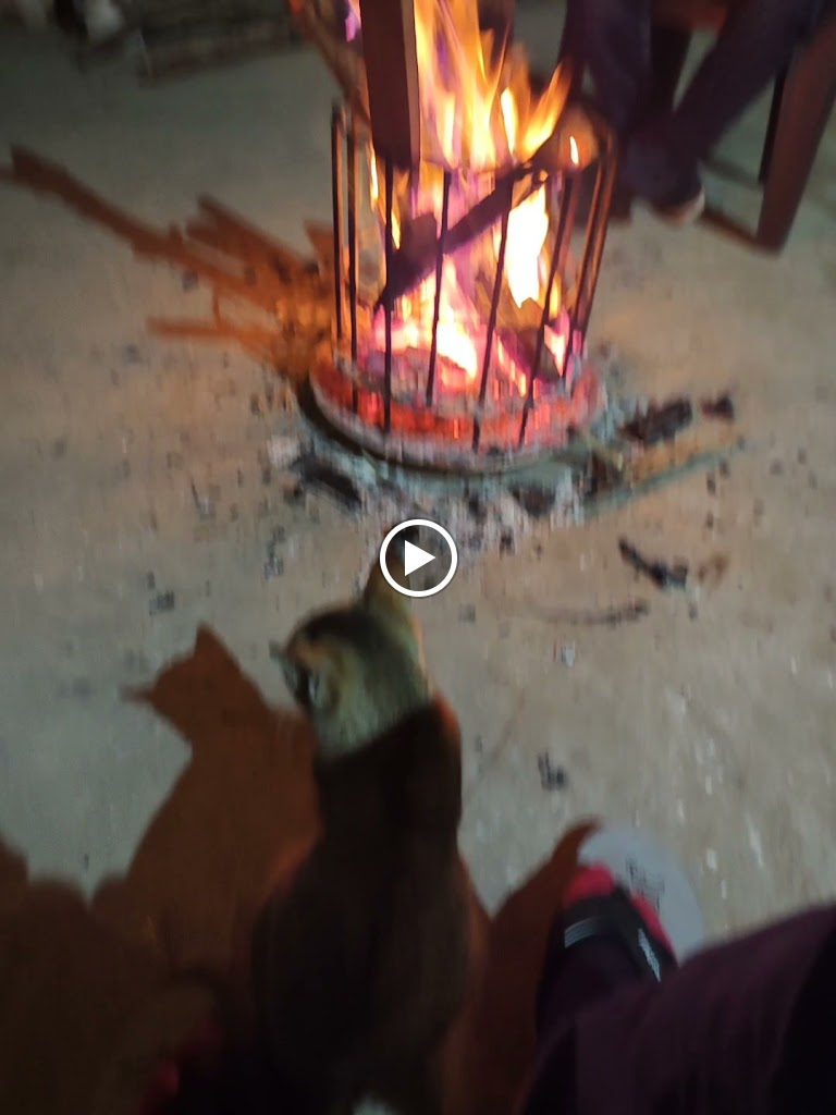Videos
