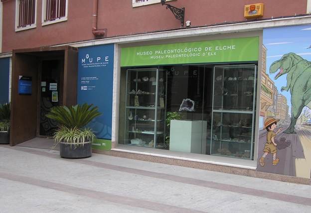 Museo Paleontologico de Elche Fundacion Cidaris