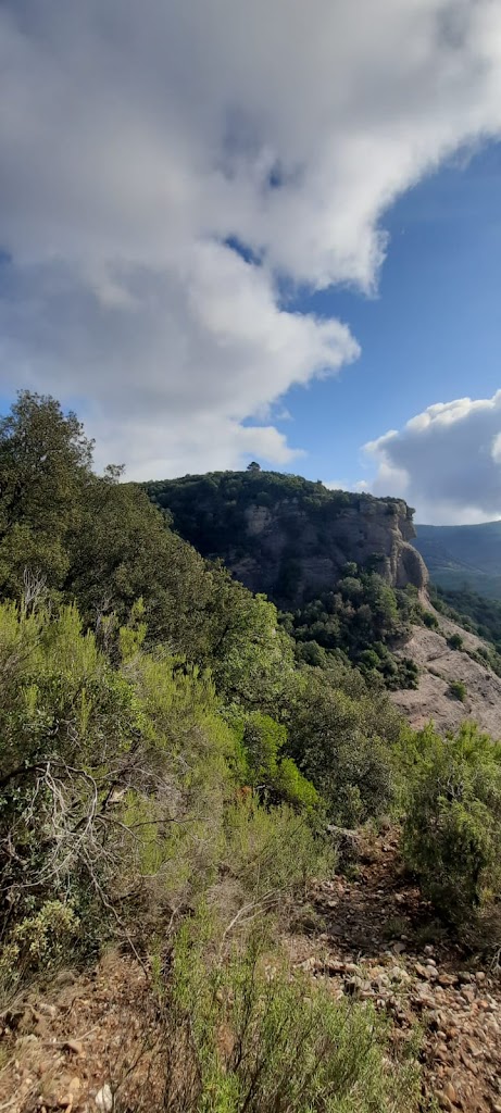 Turo del Castellar
