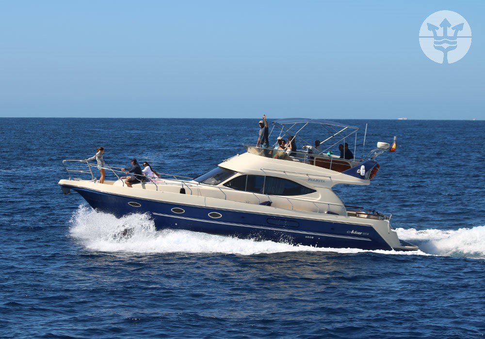 Marina Blue Whale watching Tarifa