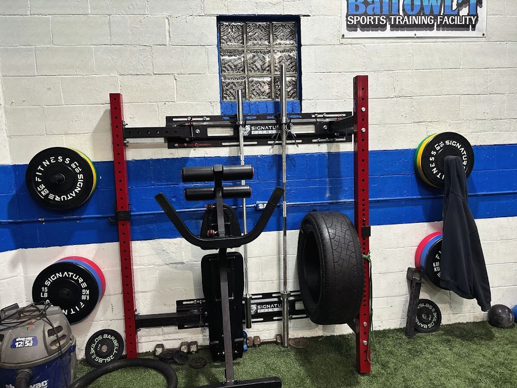  Ball OWL'T Sports Training Facility