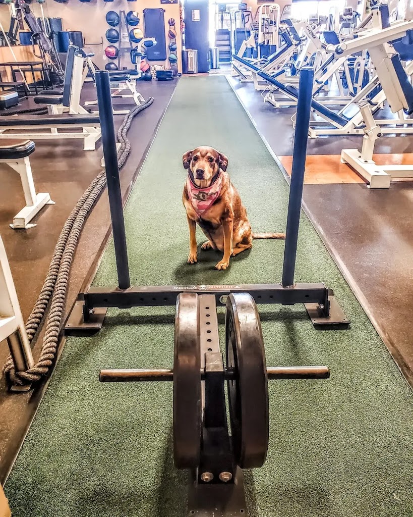  Integrity Training Systems