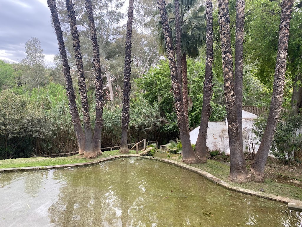 Parque San Francisco