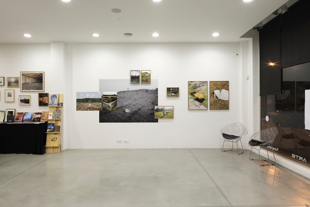 Dispara bookstore