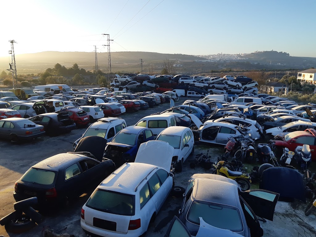 Desguaces Campina Sur