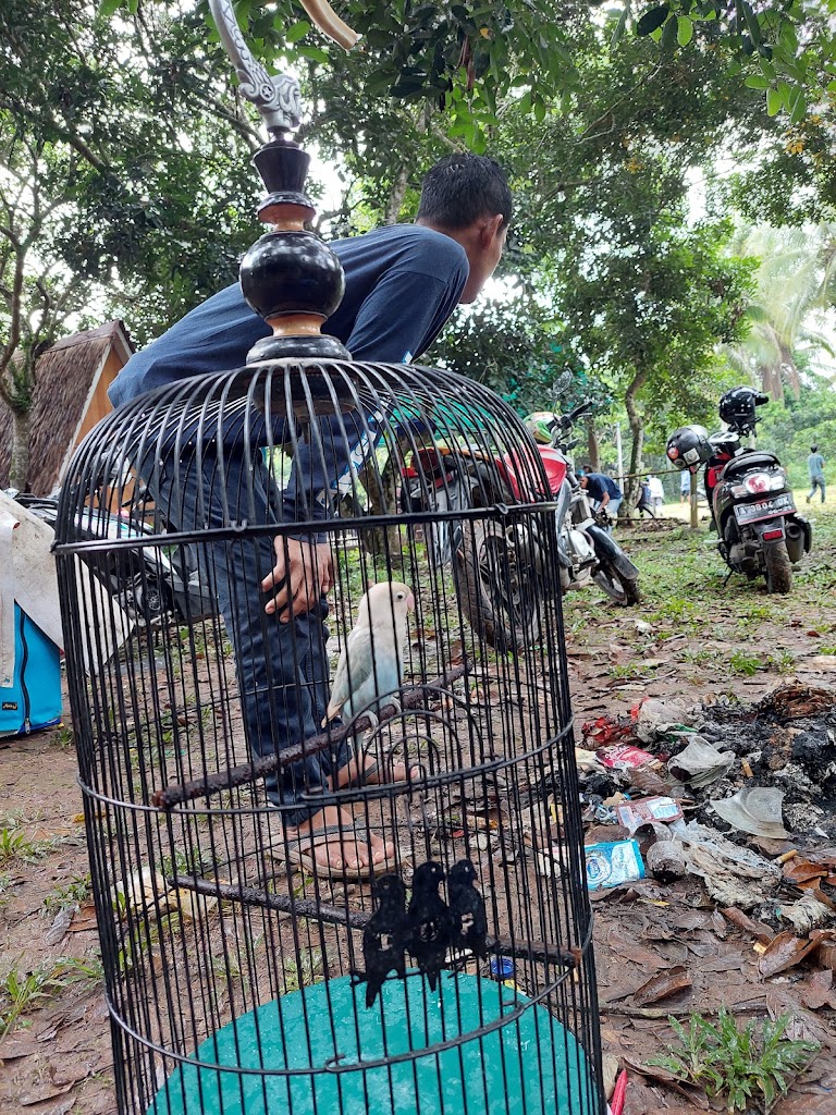 Bumi Perkemahan Lebakwangi (GAYATRI CAMP)