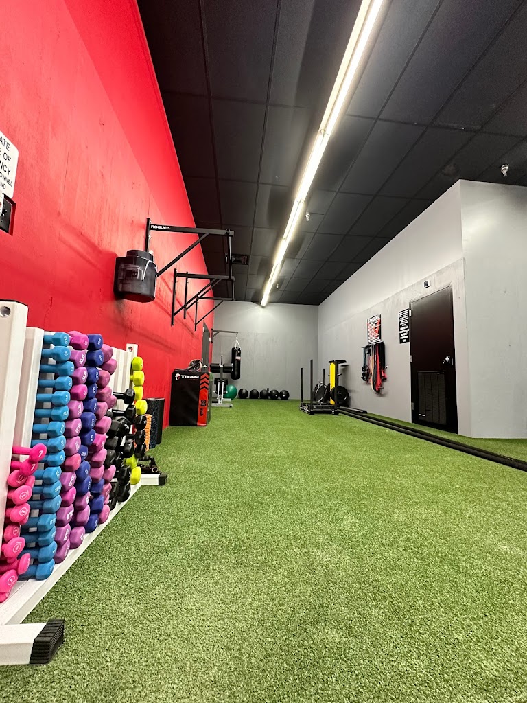  Willmore Total Fitness - G2