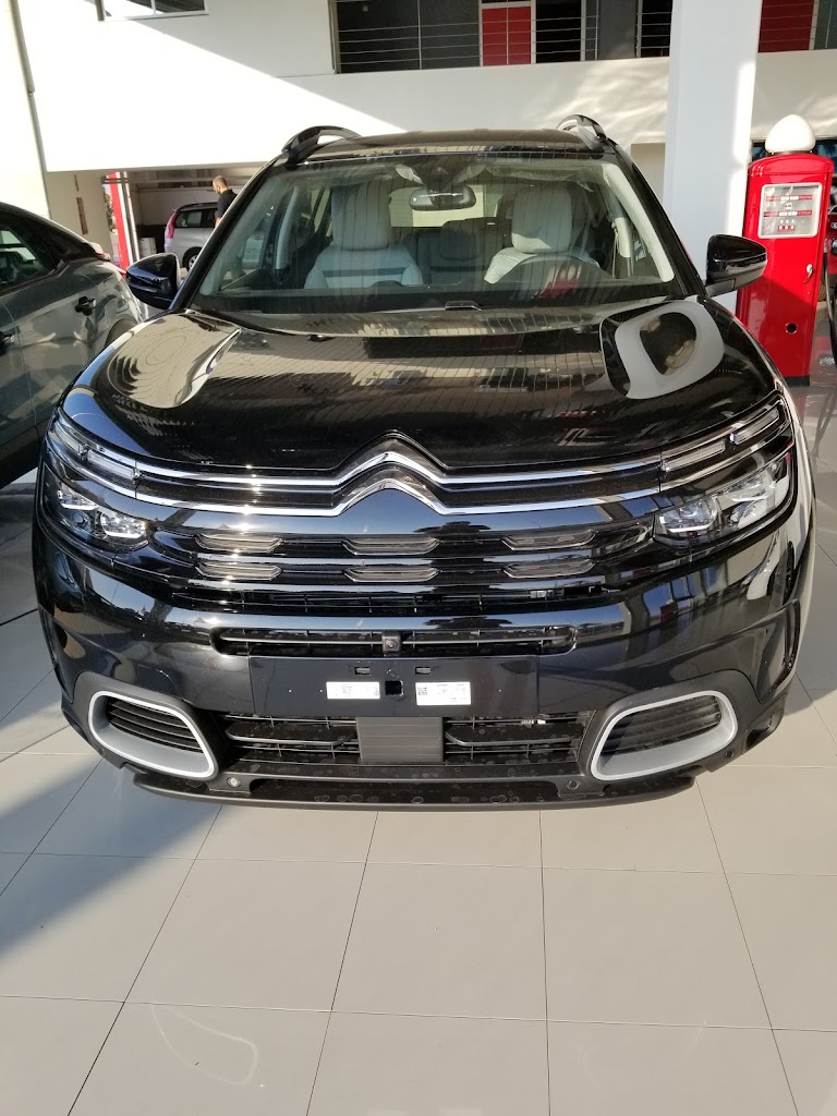 MOTOR TORREVIEJA, S.L. - Citroen Ventas — Interior