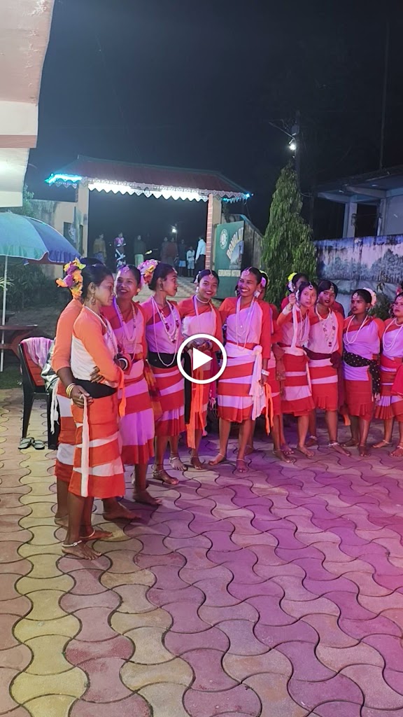 Videos