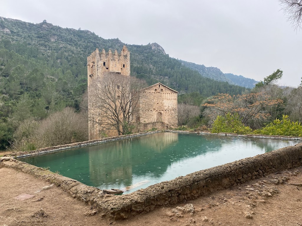 Ruines del Monestir de Santa Maria de la Murta