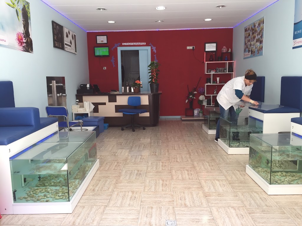 Fish Kiss — Interior